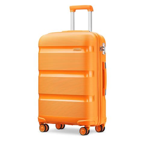 24 inch hard shell suitcase.